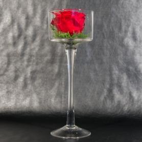 Красный бархат