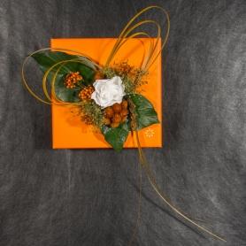 Пробуждение природы 3