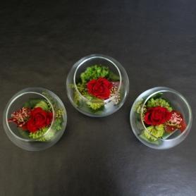 Кураж (мини)