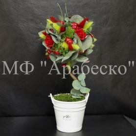 Дерево для Евы